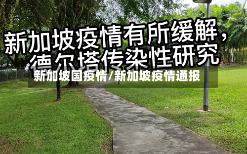 新加坡国疫情/新加坡疫情通报-第2张图片