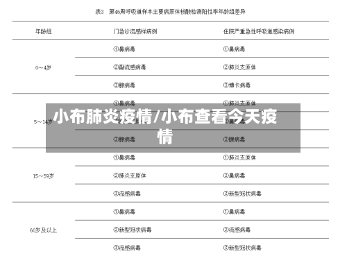 小布肺炎疫情/小布查看今天疫情-第2张图片