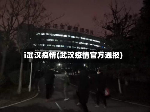 i武汉疫情(武汉疫情官方通报)-第3张图片