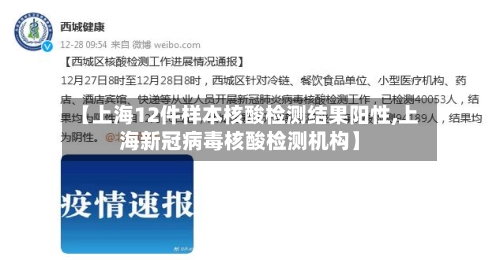 【上海12件样本核酸检测结果阳性,上海新冠病毒核酸检测机构】-第1张图片
