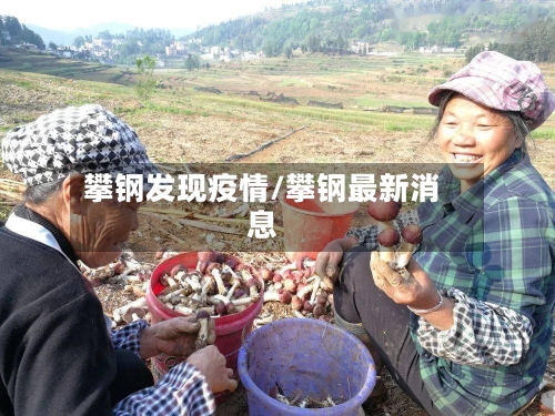 攀钢发现疫情/攀钢最新消息-第1张图片