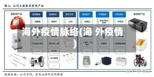 海外疫情脉络(海 外疫情)-第1张图片