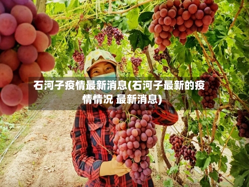 石河子疫情最新消息(石河子最新的疫情情况 最新消息)-第1张图片