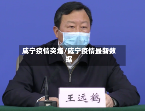咸宁疫情突增/咸宁疫情最新数据-第2张图片