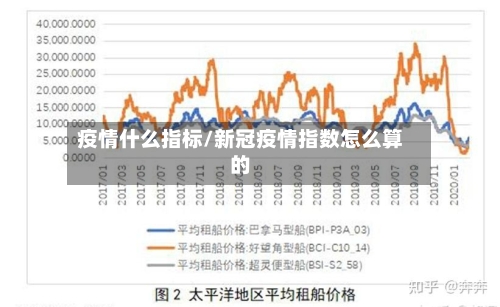 疫情什么指标/新冠疫情指数怎么算的-第3张图片