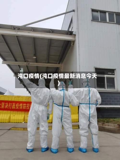 沌口疫情(沌口疫情最新消息今天)-第2张图片