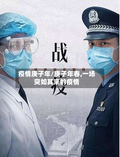 疫情庚子年/庚子年春,一场突如其来的疫情-第3张图片