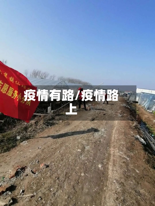 疫情有路/疫情路上-第1张图片