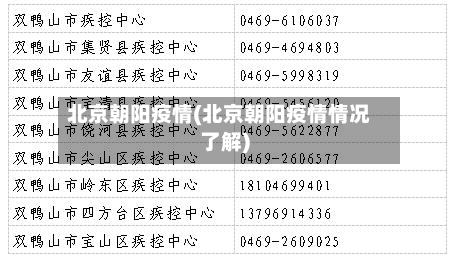 北京朝阳疫情(北京朝阳疫情情况了解)-第3张图片