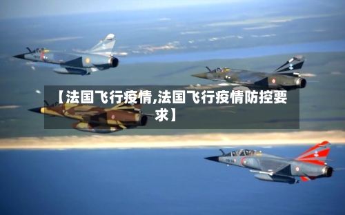 【法国飞行疫情,法国飞行疫情防控要求】-第2张图片