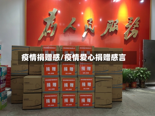 疫情捐赠感/疫情爱心捐赠感言-第2张图片