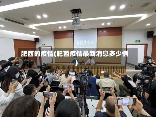 肥西的疫情(肥西疫情最新消息多少例)-第3张图片