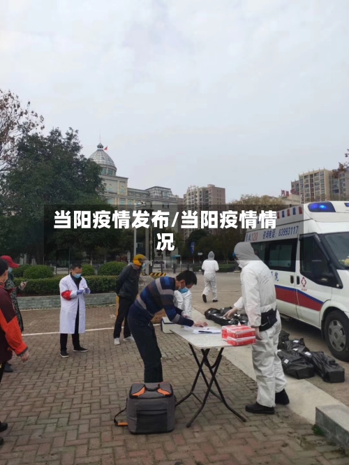 当阳疫情发布/当阳疫情情况-第3张图片