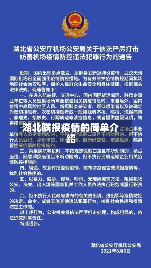 湖北瞒报疫情的简单介绍-第1张图片