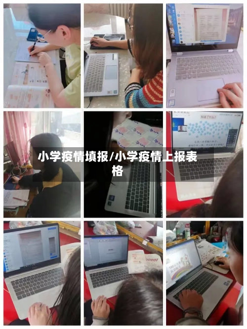 小学疫情填报/小学疫情上报表格-第2张图片