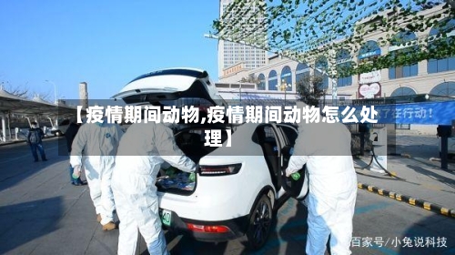 【疫情期间动物,疫情期间动物怎么处理】-第2张图片