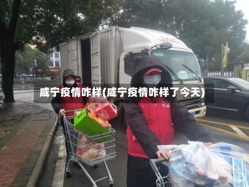 咸宁疫情咋样(咸宁疫情咋样了今天)-第1张图片