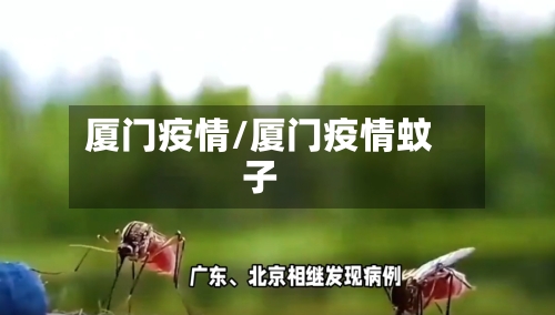 厦门疫情/厦门疫情蚊子-第1张图片